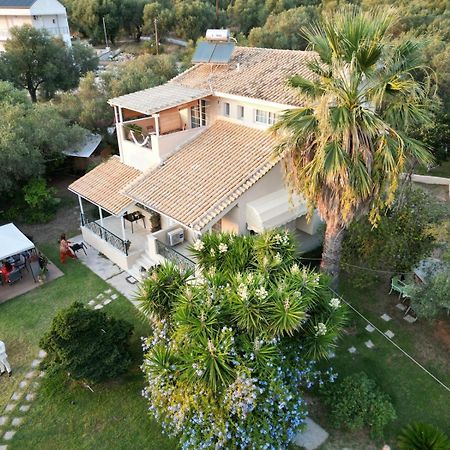 Sunny Garden Villa Платария Екстериор снимка