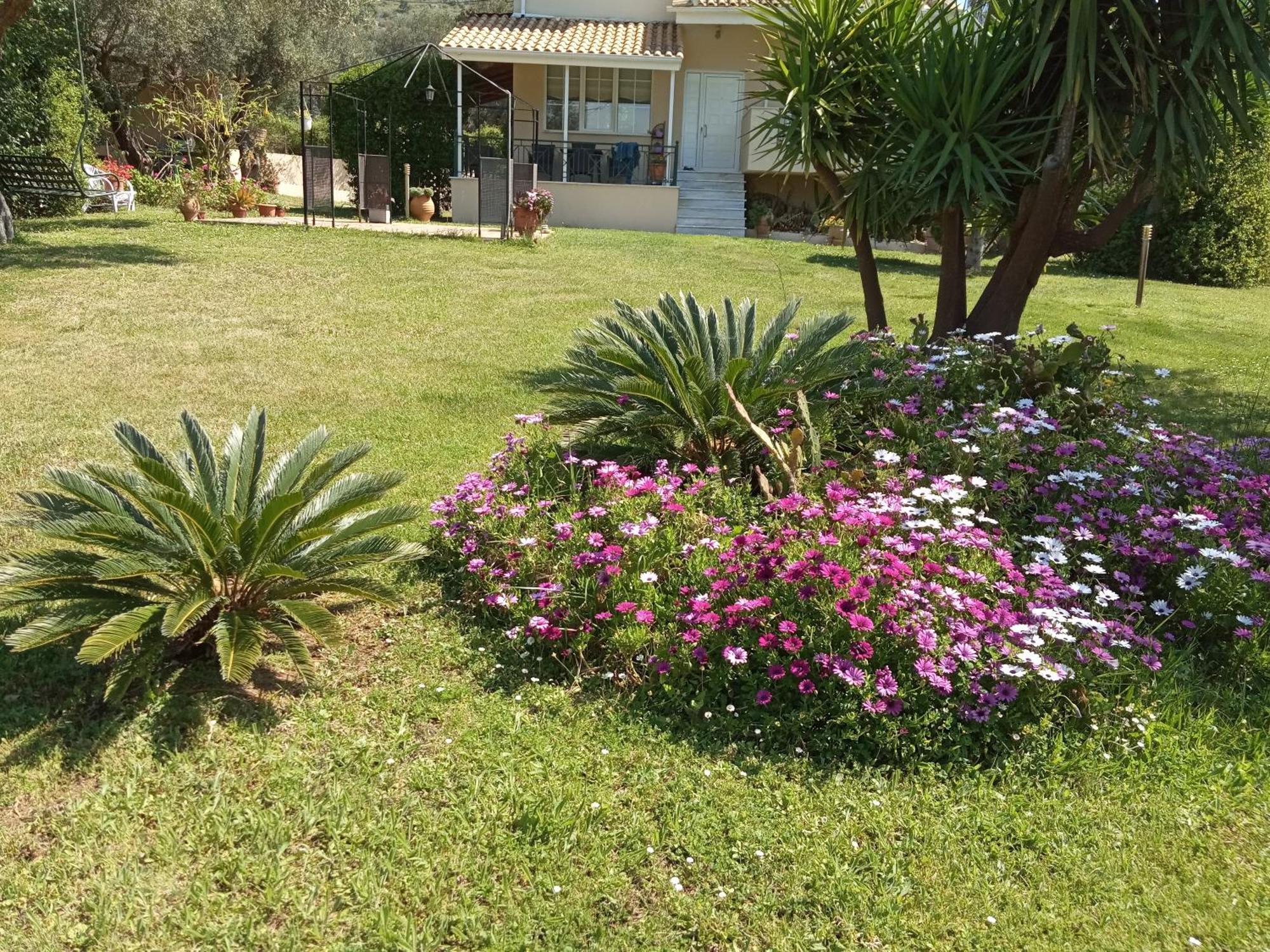 Sunny Garden Villa Платария Стая снимка